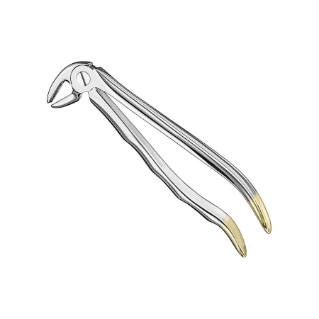 Extracting forceps, anat.